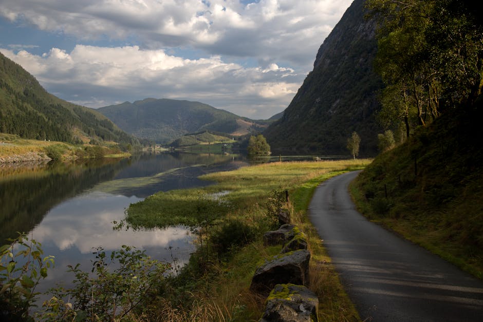 Støtte til arbeidet